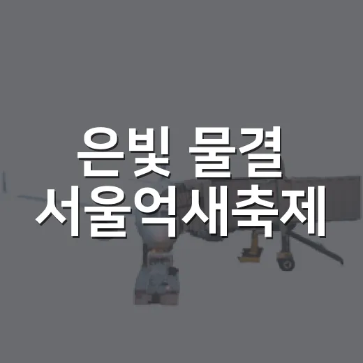 은빛 물결 서울억새축제