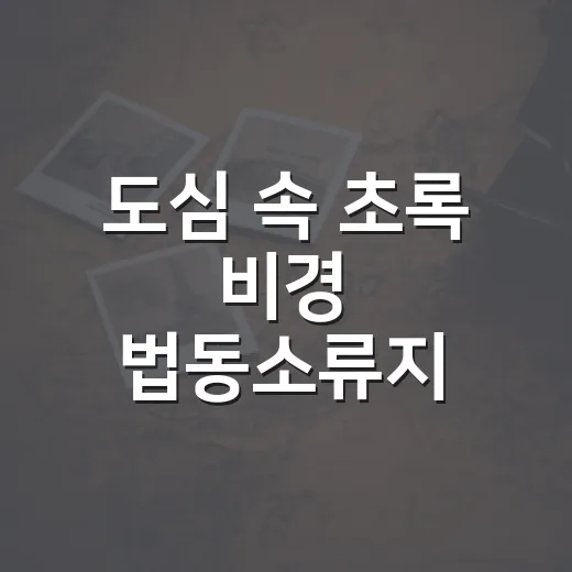 도심 속 초록 비경 법동소류지