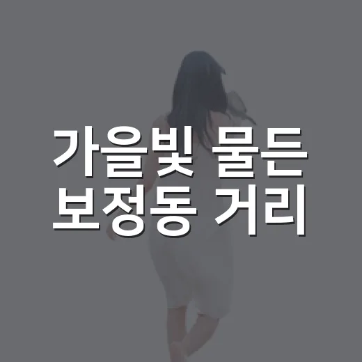 가을빛 물든 보정동 거리