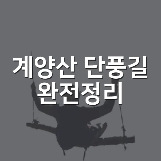 계양산 단풍길 완전정리