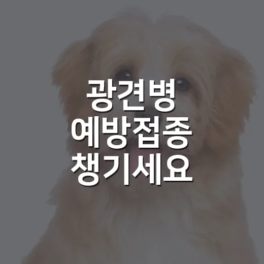 광견병 예방접종 챙기세요