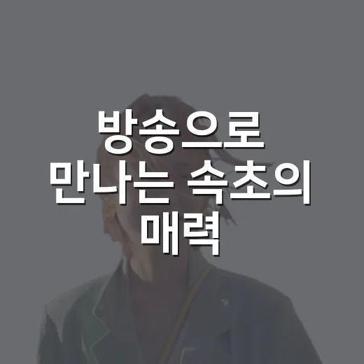방송으로 만나는 속초의 매력
