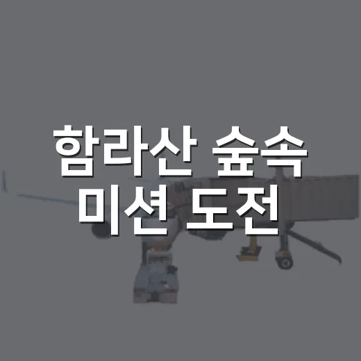 함라산 숲속 미션 도전