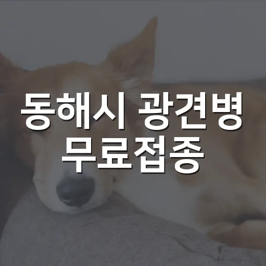 동해시 광견병 무료접종