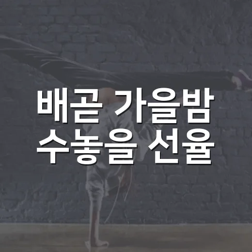 배곧 가을밤 수놓을 선율