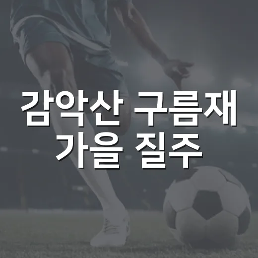감악산 구름재 가을 질주