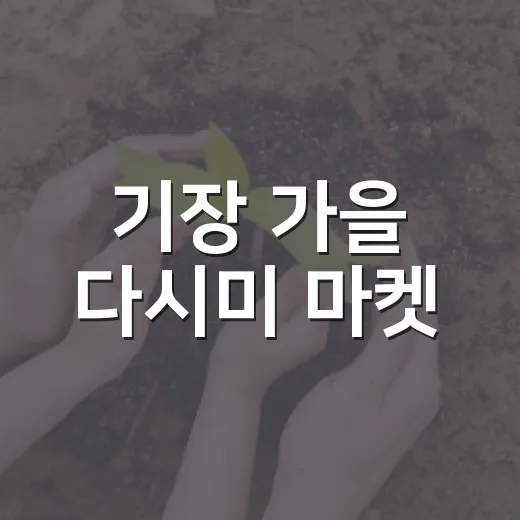기장 가을 다시미 마켓