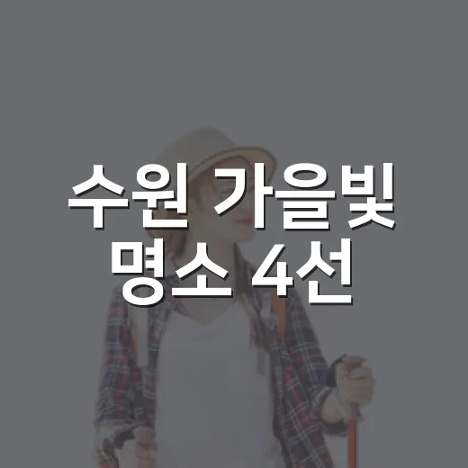 수원 가을빛 명소 4선