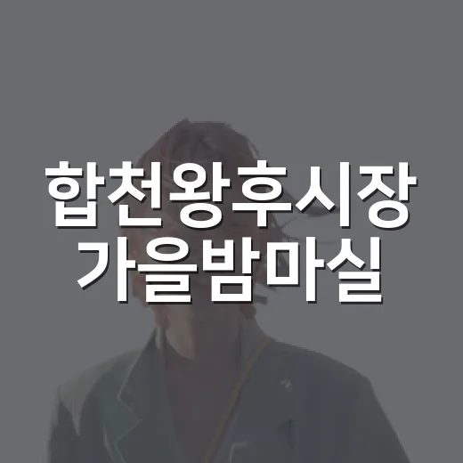 합천왕후시장 가을밤마실