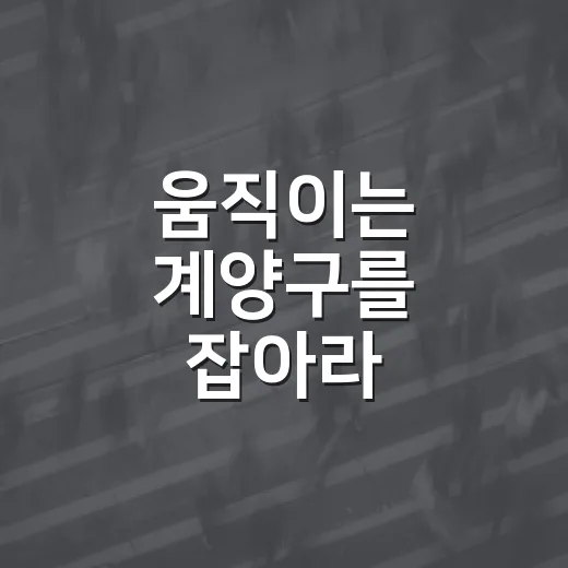 움직이는 계양구를 잡아라