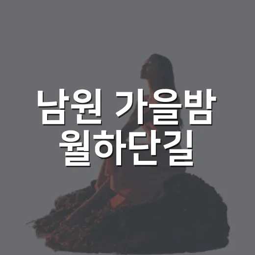 남원 가을밤 월하단길