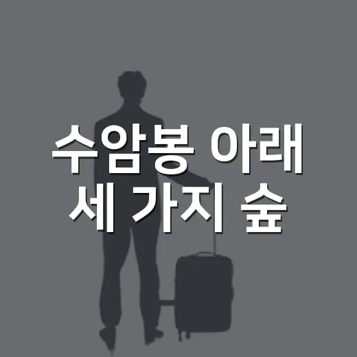 수암봉 아래 세 가지 숲