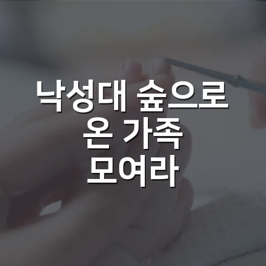 낙성대 숲으로 온 가족 모여라