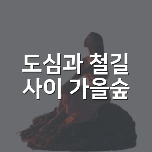 도심과 철길 사이 가을숲