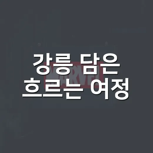 강릉 담은 흐르는 여정