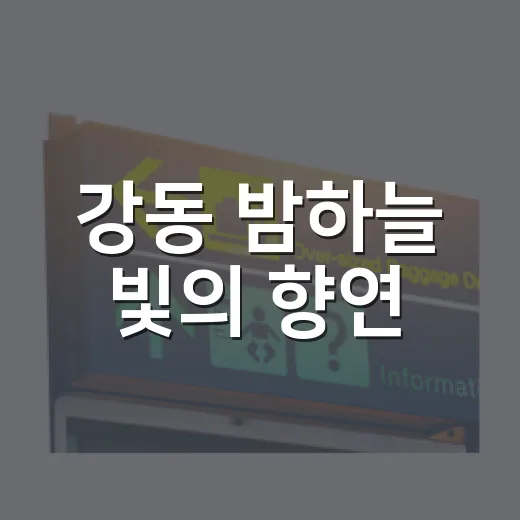 강동 밤하늘 빛의 향연