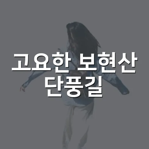 고요한 보현산 단풍길