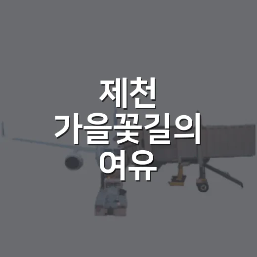 제천 가을꽃길의 여유