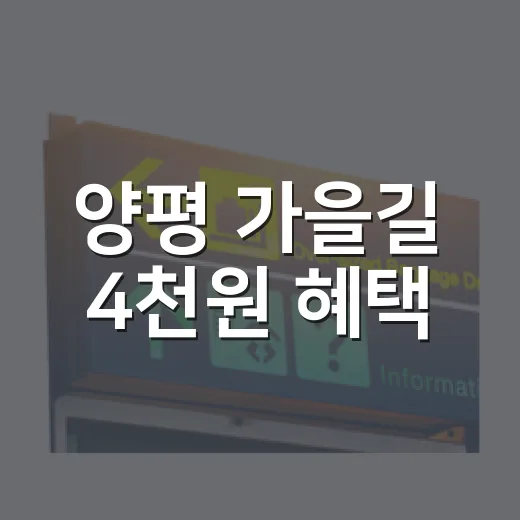 양평 가을길 4천원 혜택