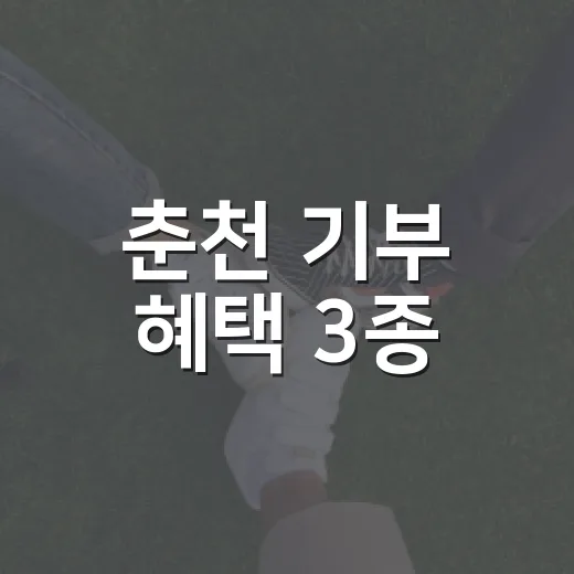 춘천 기부 혜택 3종