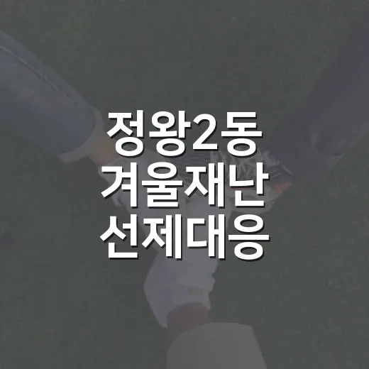 정왕2동 겨울재난 선제대응