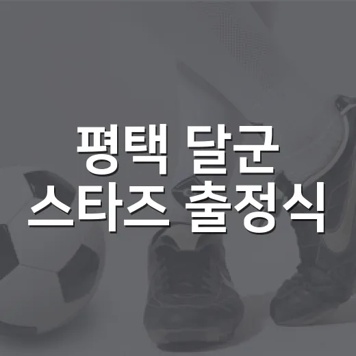 평택 달군 스타즈 출정식