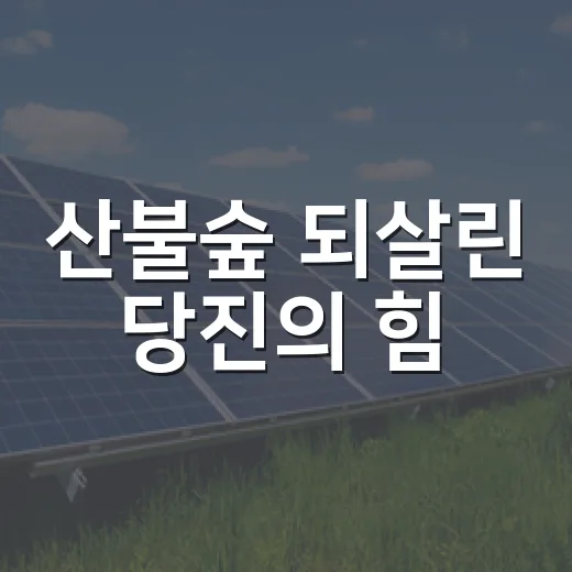 산불숲 되살린 당진의 힘