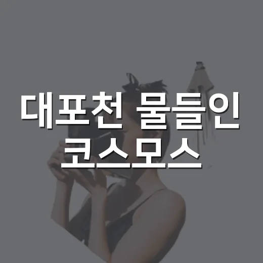 대포천 물들인 코스모스