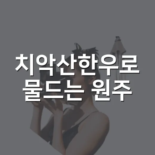 치악산한우로 물드는 원주