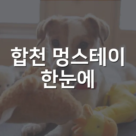 합천 멍스테이 한눈에