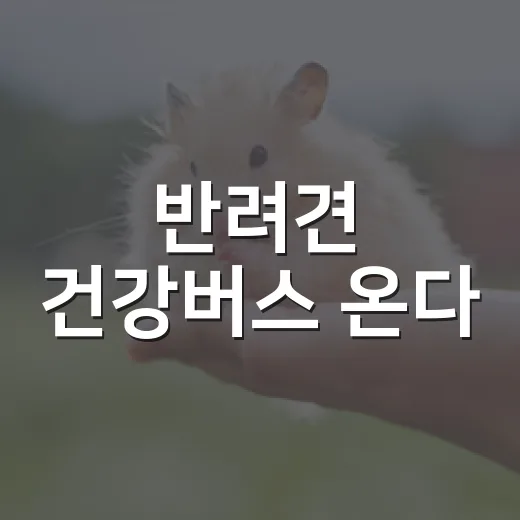 반려견 건강버스 온다