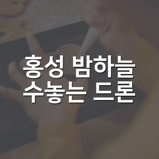 홍성 밤하늘 수놓는 드론