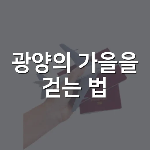 광양의 가을을 걷는 법