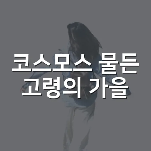 코스모스 물든 고령의 가을