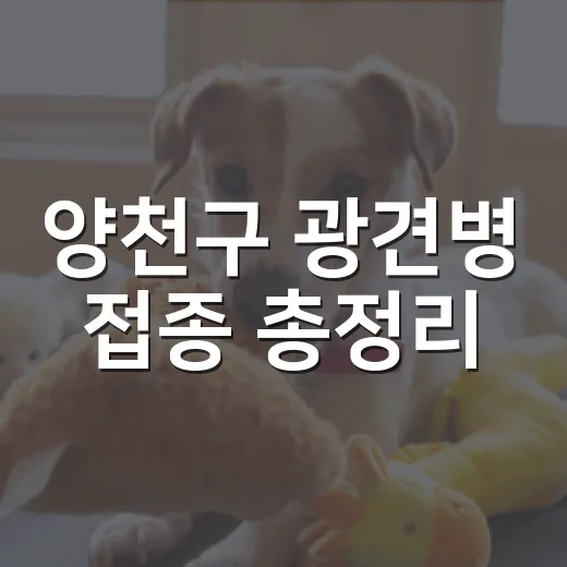양천구 광견병 접종 총정리