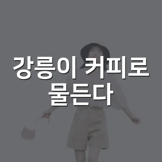 강릉이 커피로 물든다