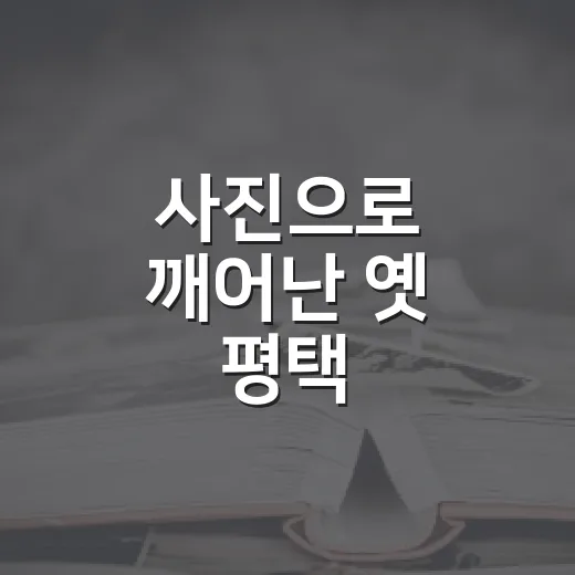 사진으로 깨어난 옛 평택