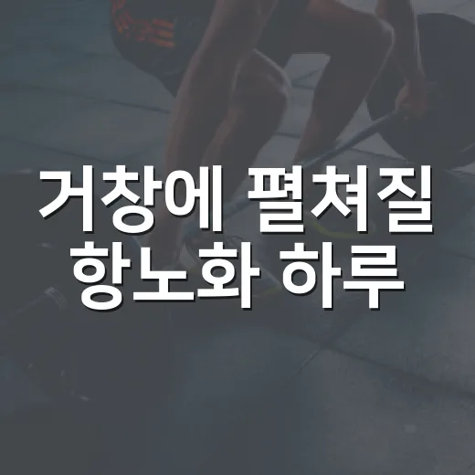 거창에 펼쳐질 항노화 하루
