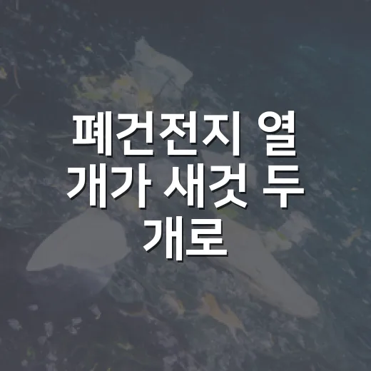 폐건전지 열 개가 새것 두 개로