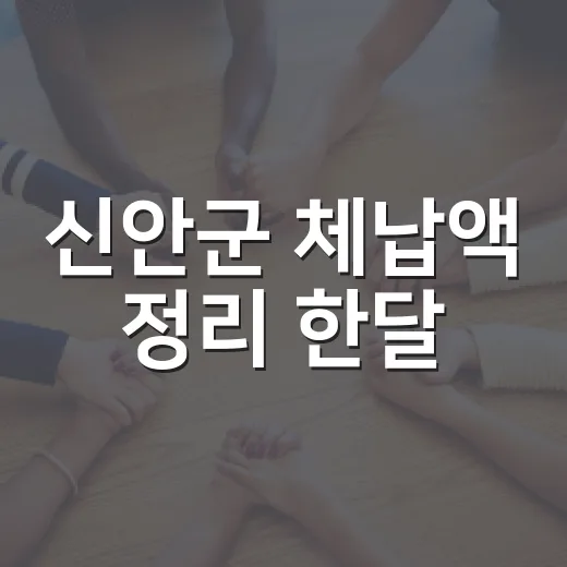 신안군 체납액 정리 한달