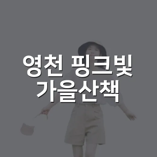 영천 핑크빛 가을산책
