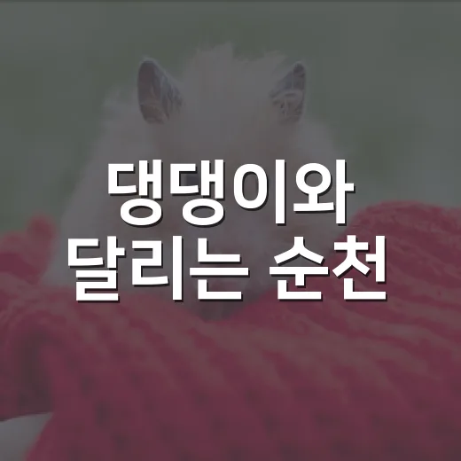 댕댕이와 달리는 순천