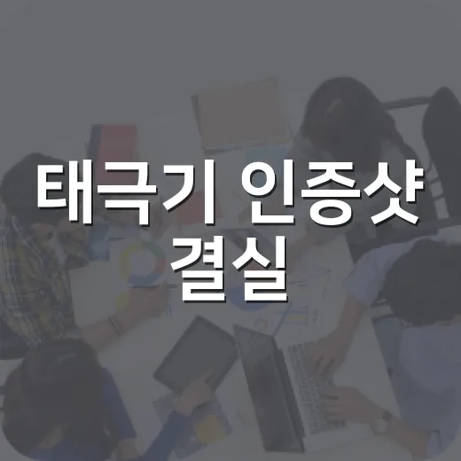 태극기 인증샷 결실