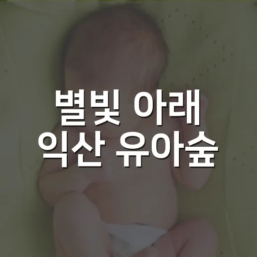 별빛 아래 익산 유아숲