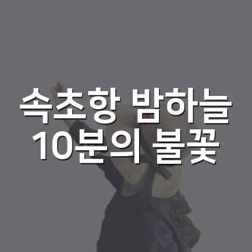 속초항 밤하늘 10분의 불꽃