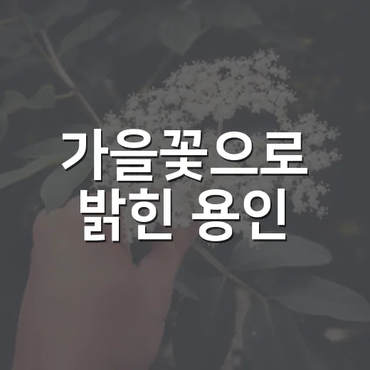 가을꽃으로 밝힌 용인