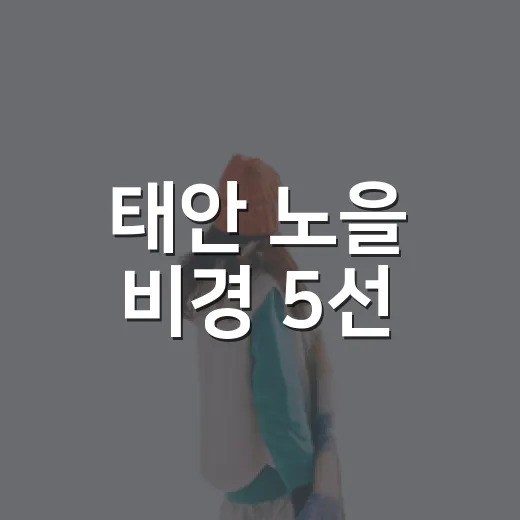 태안 노을 비경 5선