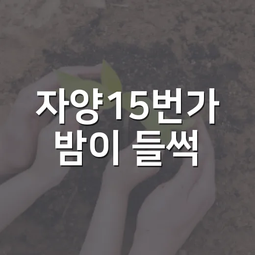 자양15번가 밤이 들썩