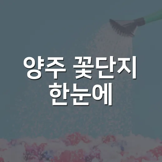 양주 꽃단지 한눈에