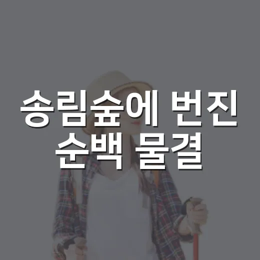 송림숲에 번진 순백 물결